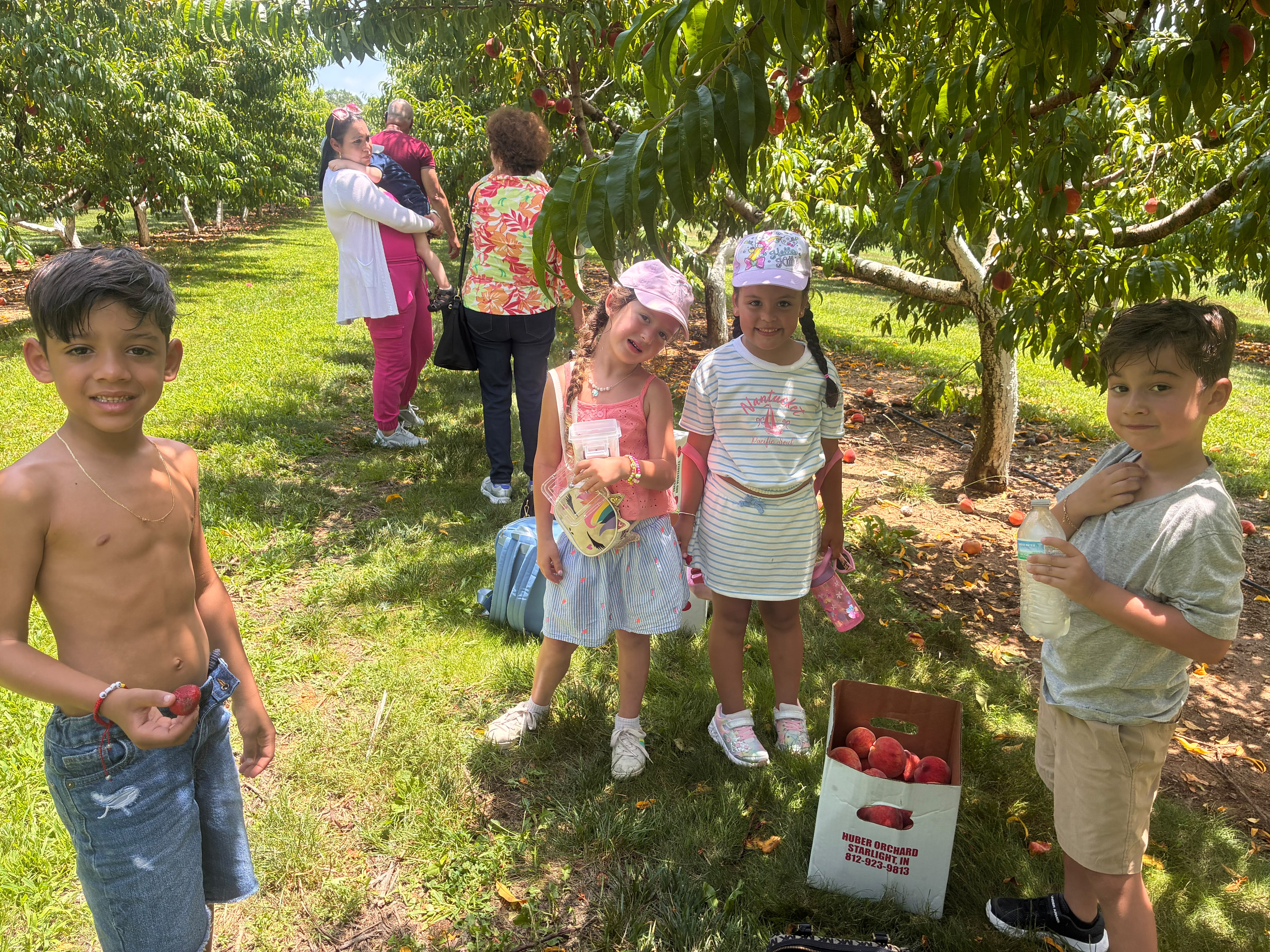 Paseos familiares junio 2026